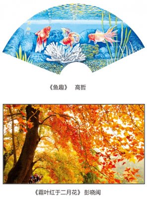 2014年12月绘画摄影
