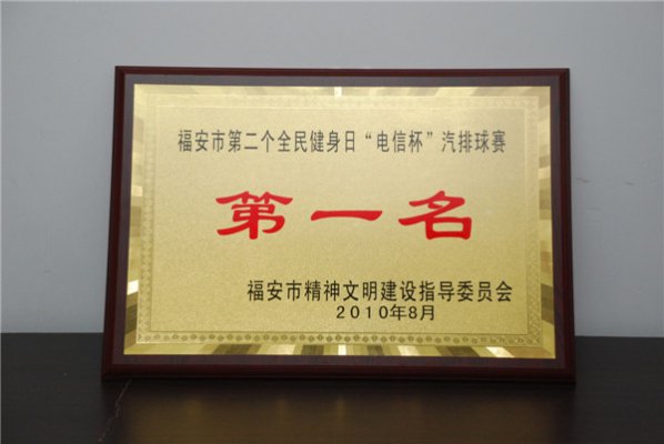 “电信杯”汽排球赛第一名
